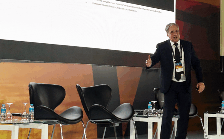  Rubellite makes comeback in China, ICA conference hears